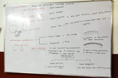 1000108848-scaled