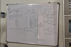 IMG_20260424_071329