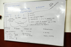 IMG_20260516_174643