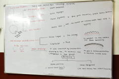 IMG_20260519_173928